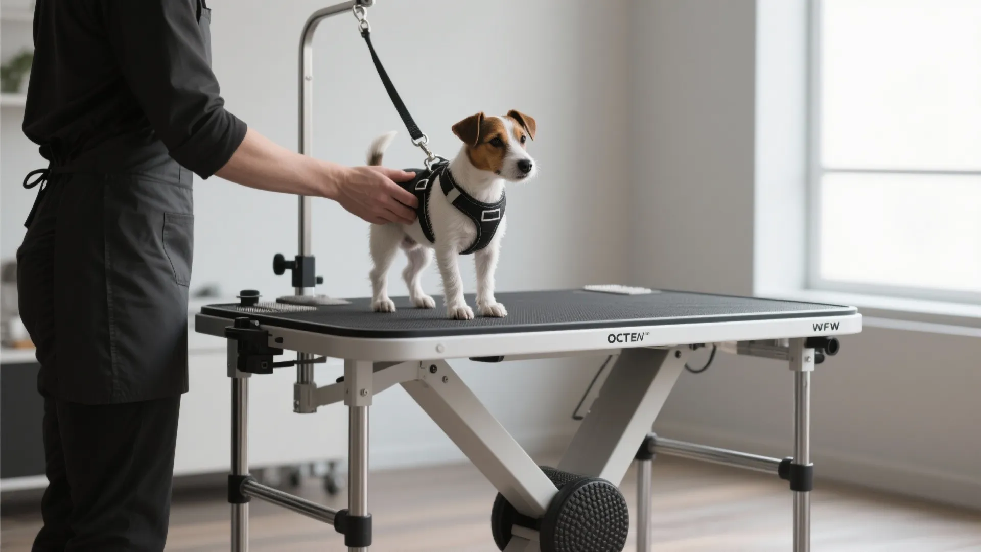 Adjustable-height portable grooming table with safety harness and wide base in a bright room.