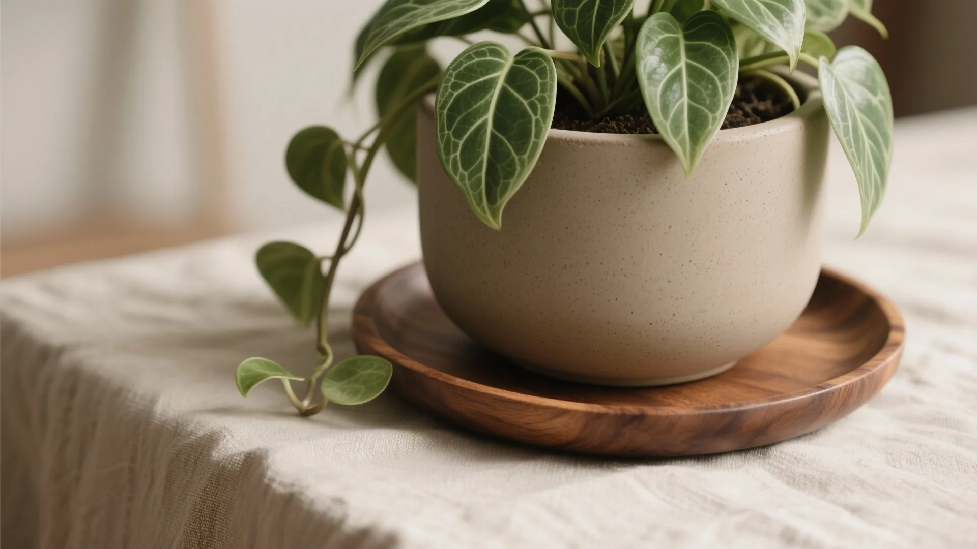 Biophilic Touches With DIY Planters and Wood Accents