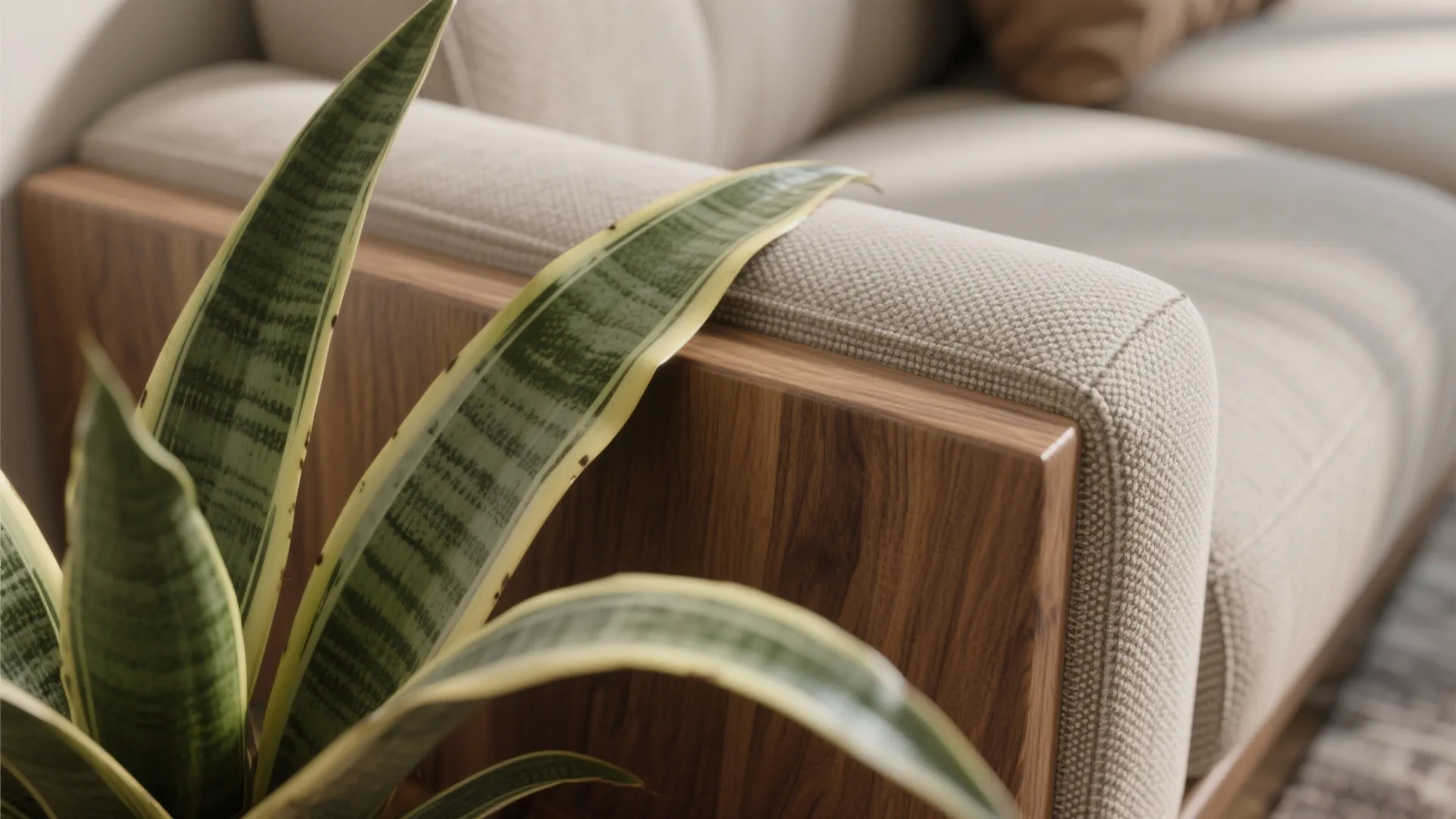 Warm Neutrals + Biophilic Accents