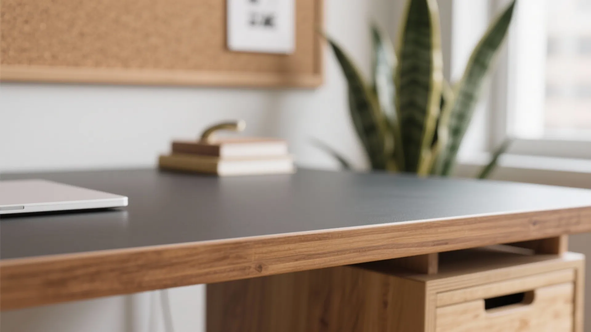 5) Biophilic touches with easy-care materials