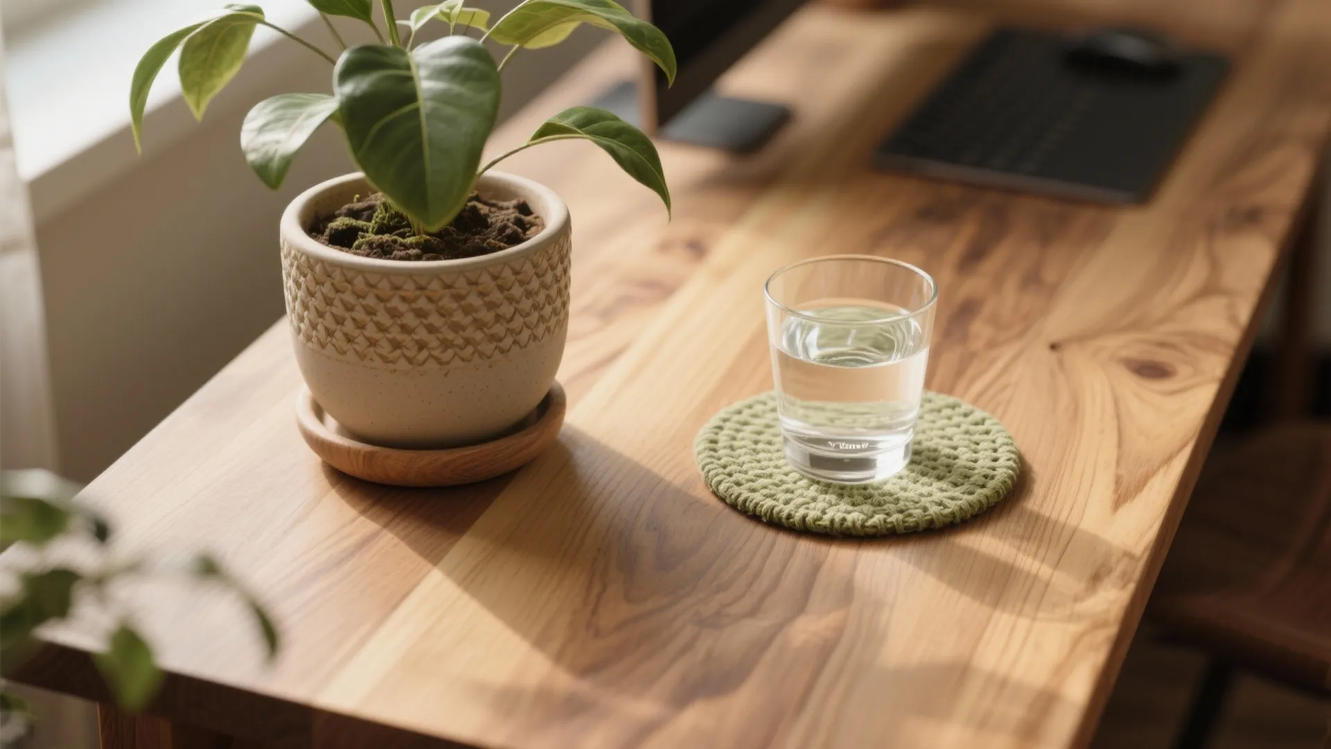 Warmth that works: biophilic touches and materials that matter