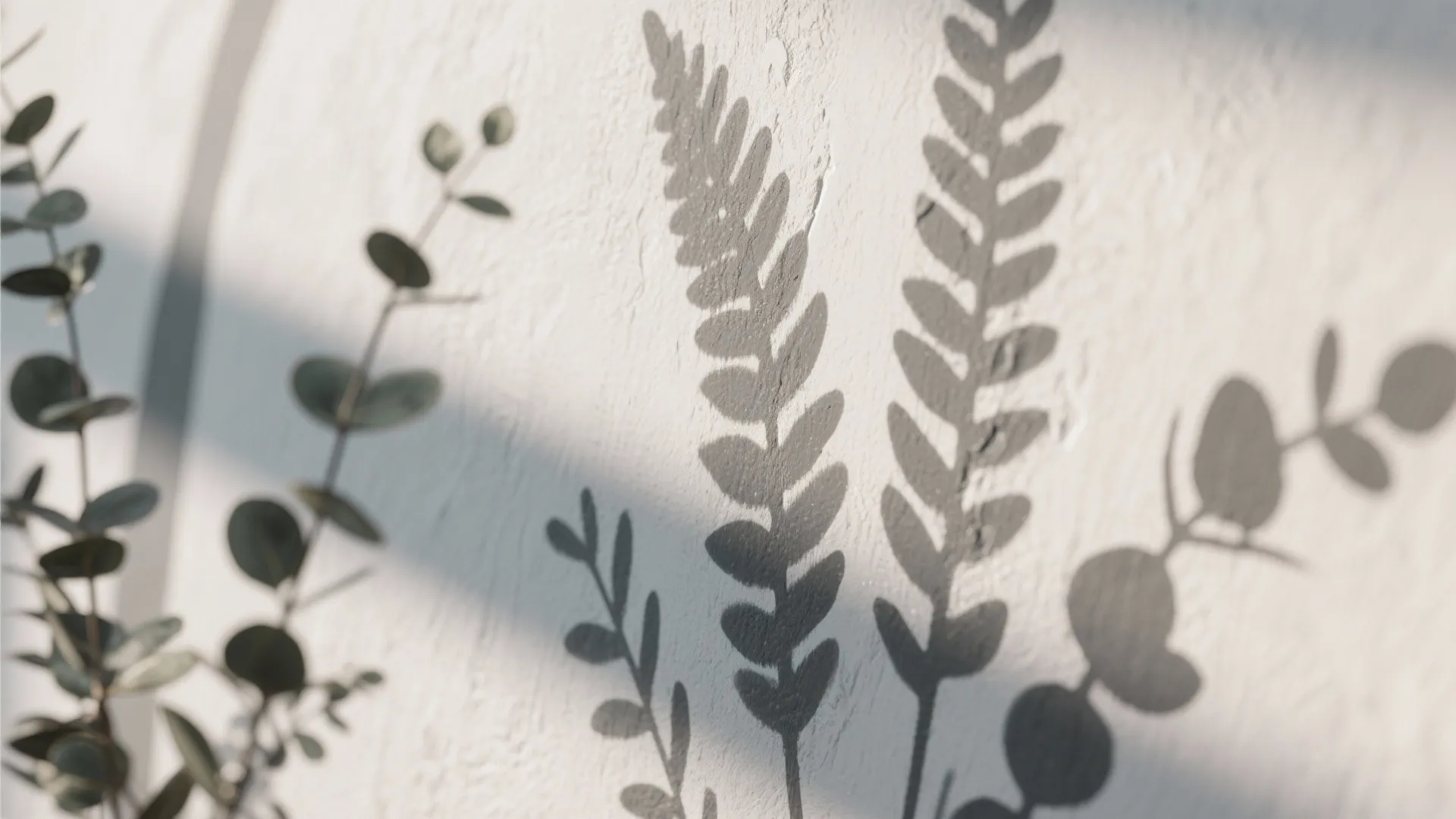 Close-up of green plant leaves and their shadows on a white textured interior wall surface