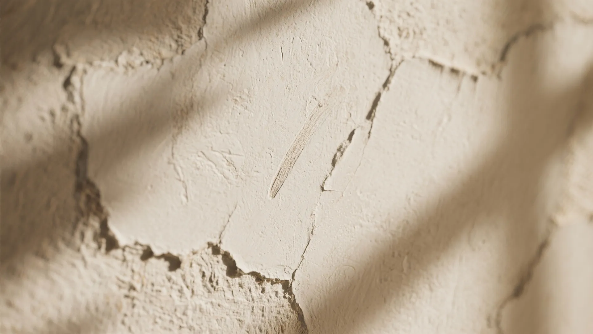 Close up view of textured beige plaster wall with natural leaf shadows and rough surface
