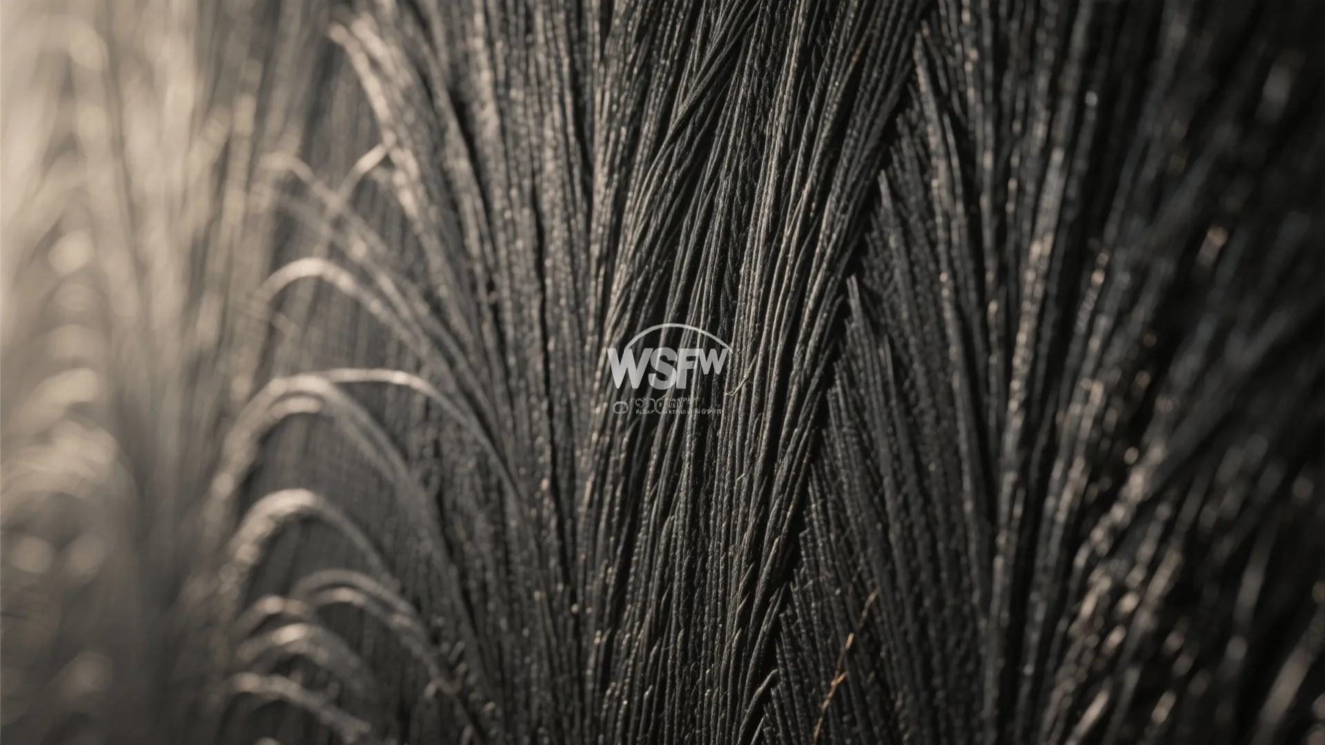 Charcoal Grasscloth for Texture and Warmth