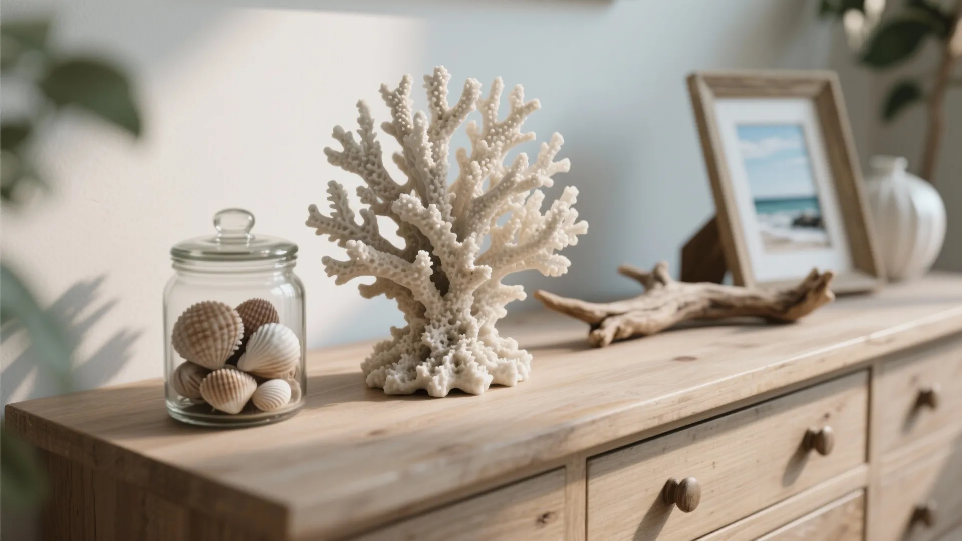 Coastal decor items on wooden cabinet with white coral reef seashell jar and photo frame