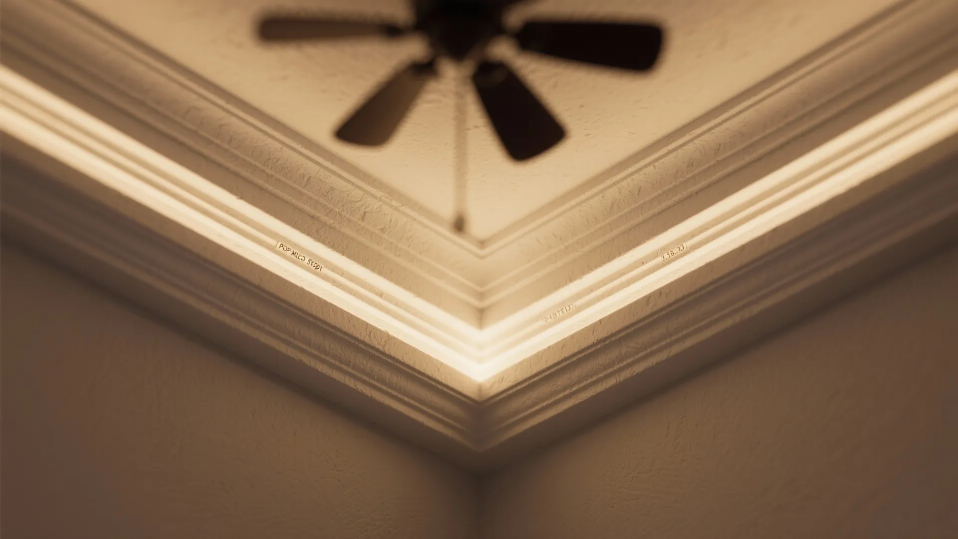 5) Textured POP border with coffered micro-steps and central fan