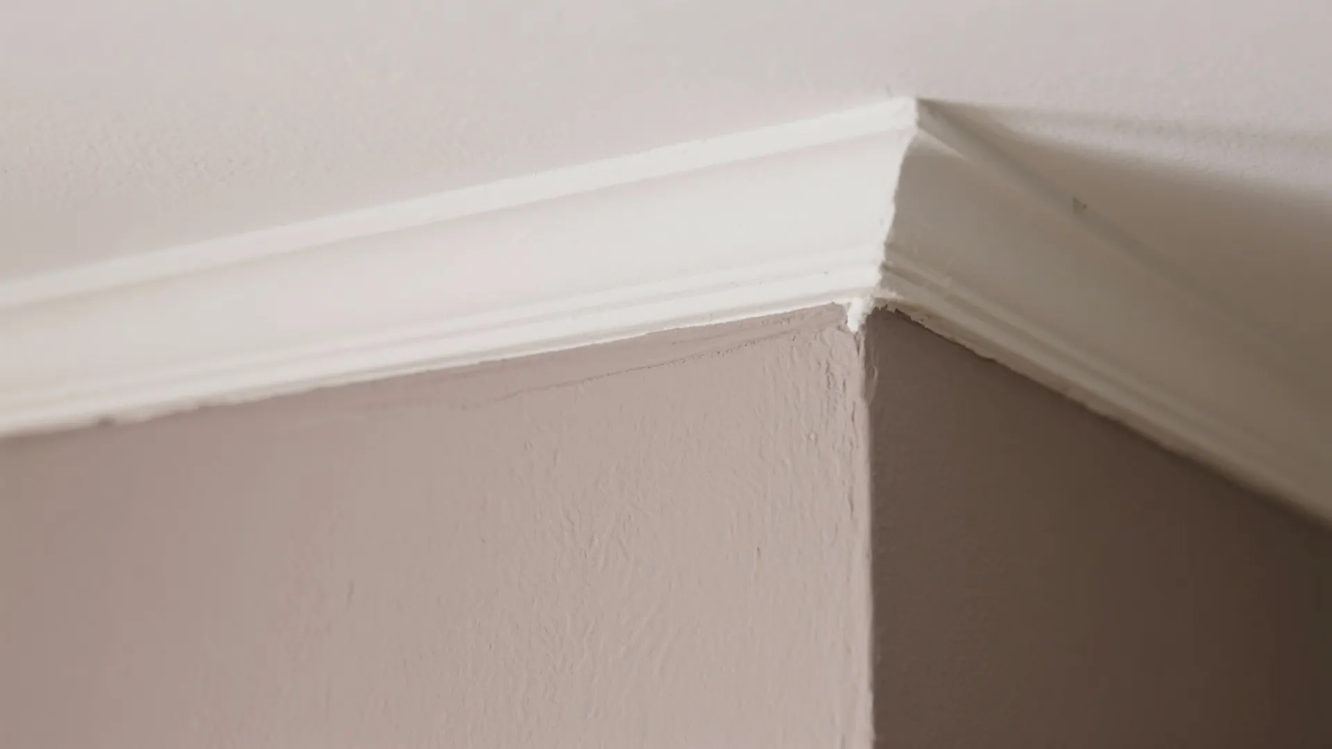 Macro of soft taupe lower wall meeting off-white upper band with a clean tape line.