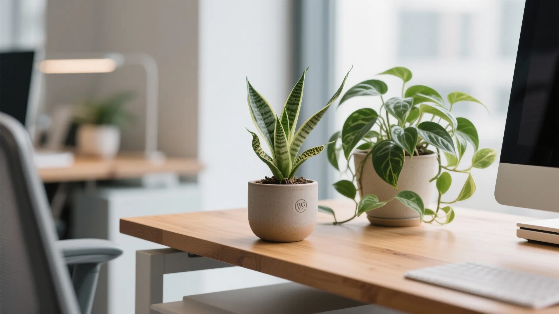 1. Bring Nature to Your Desk