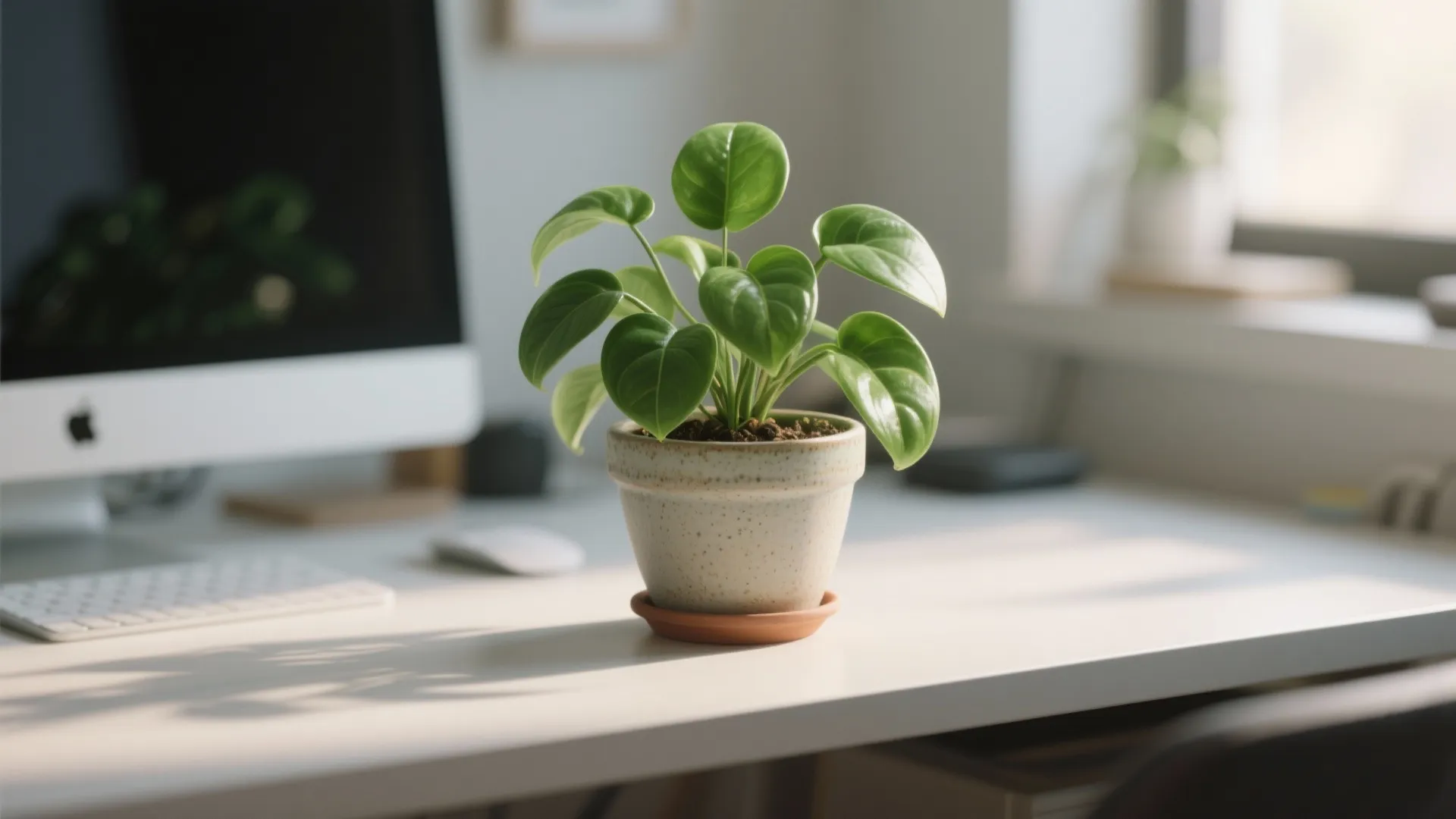 2. Bring in a Small Plant or Two