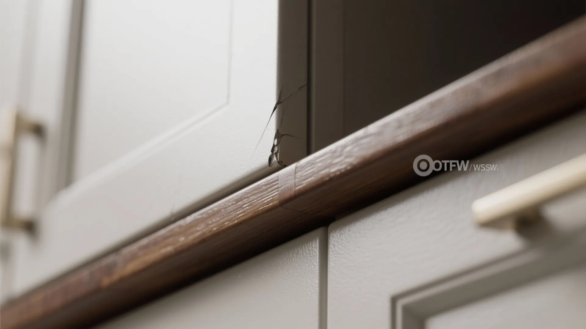 4. High-traffic families — durable paint finishes or hard-wearing stains