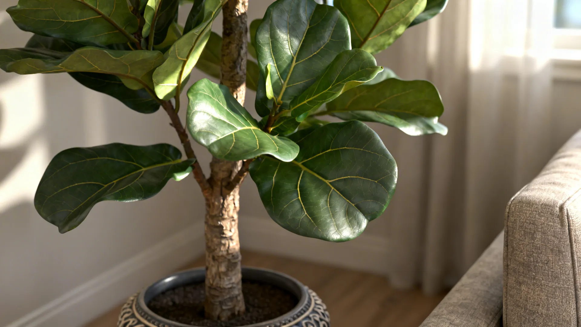 Close-up of a realistic faux fiddle leaf fig with textured trunk and matte leaves in a living room corner