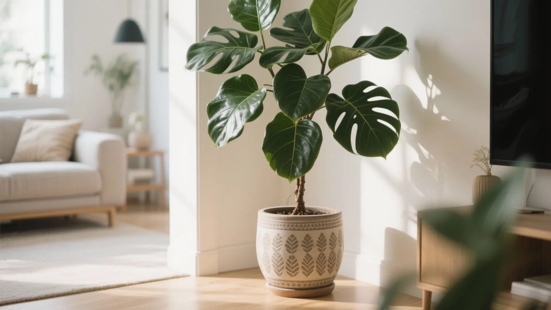 Large green plant in a pattern pot sits on wood floor in a bright room