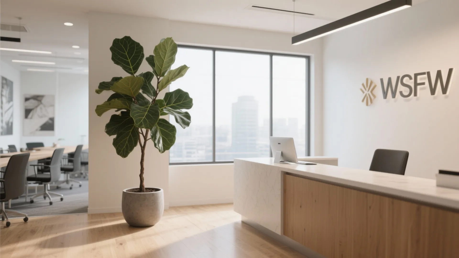 2. Statement Fiddle Leaf Fig