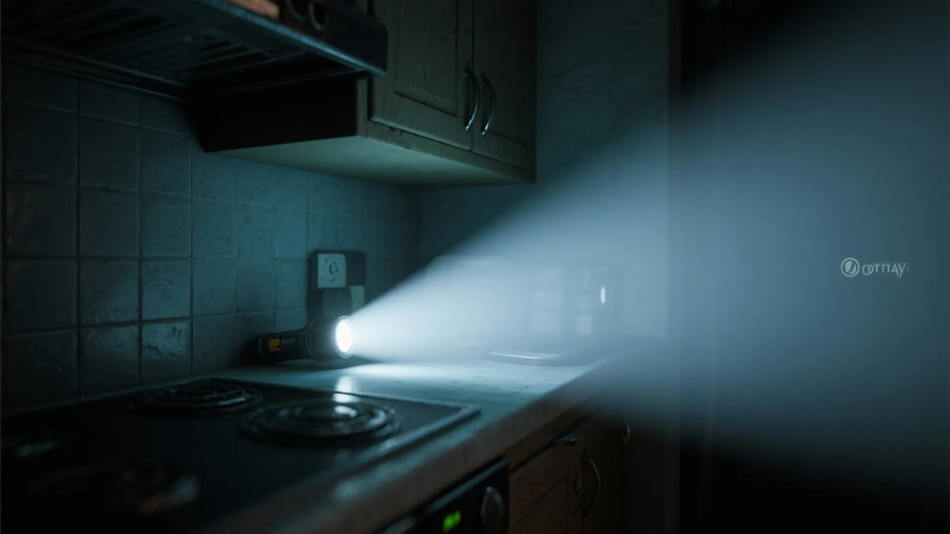 Flashlight beam scanning a dark kitchen corner to spot cockroach activity at night.