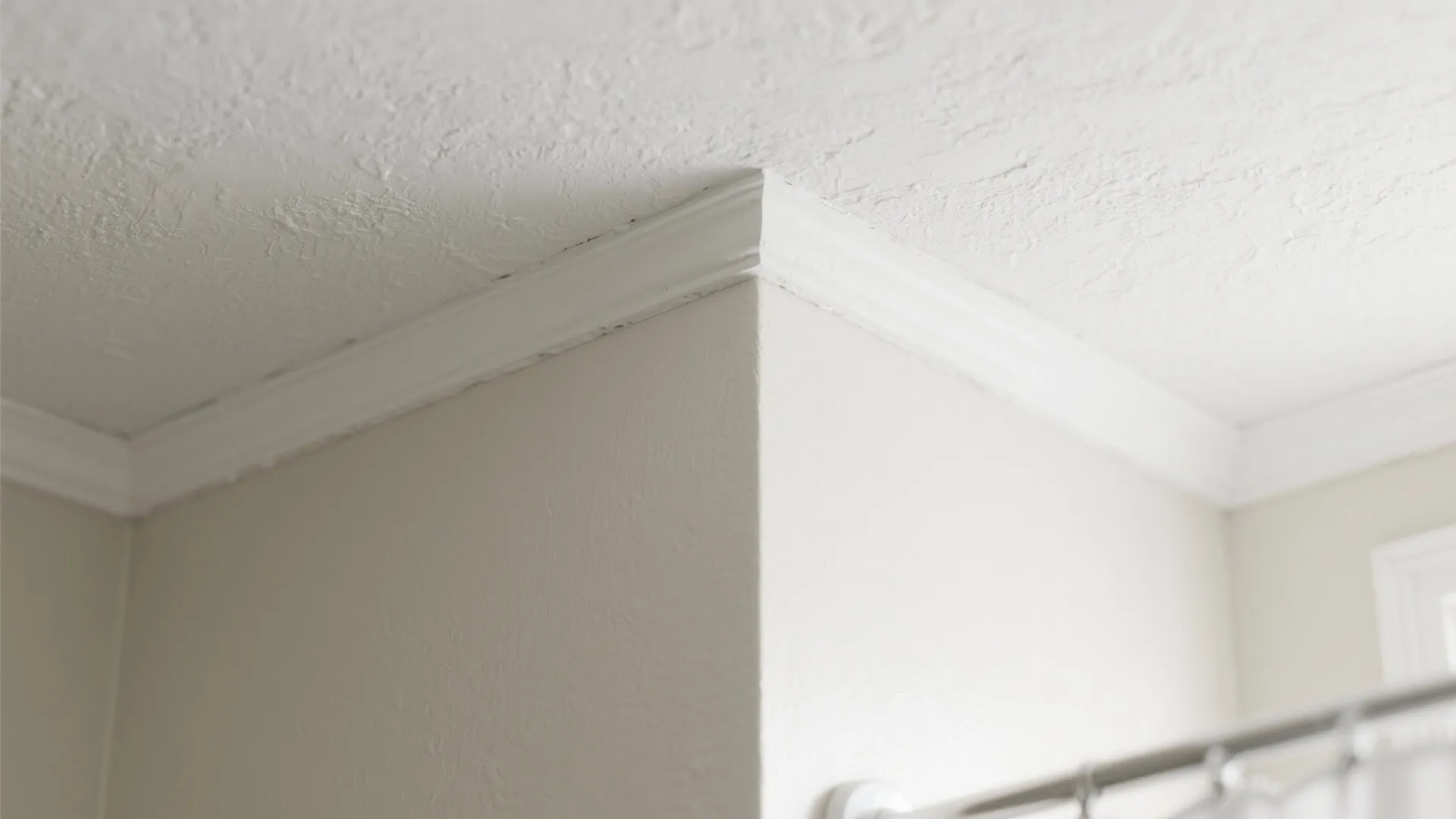 1. Moisture-Resistant Flat White