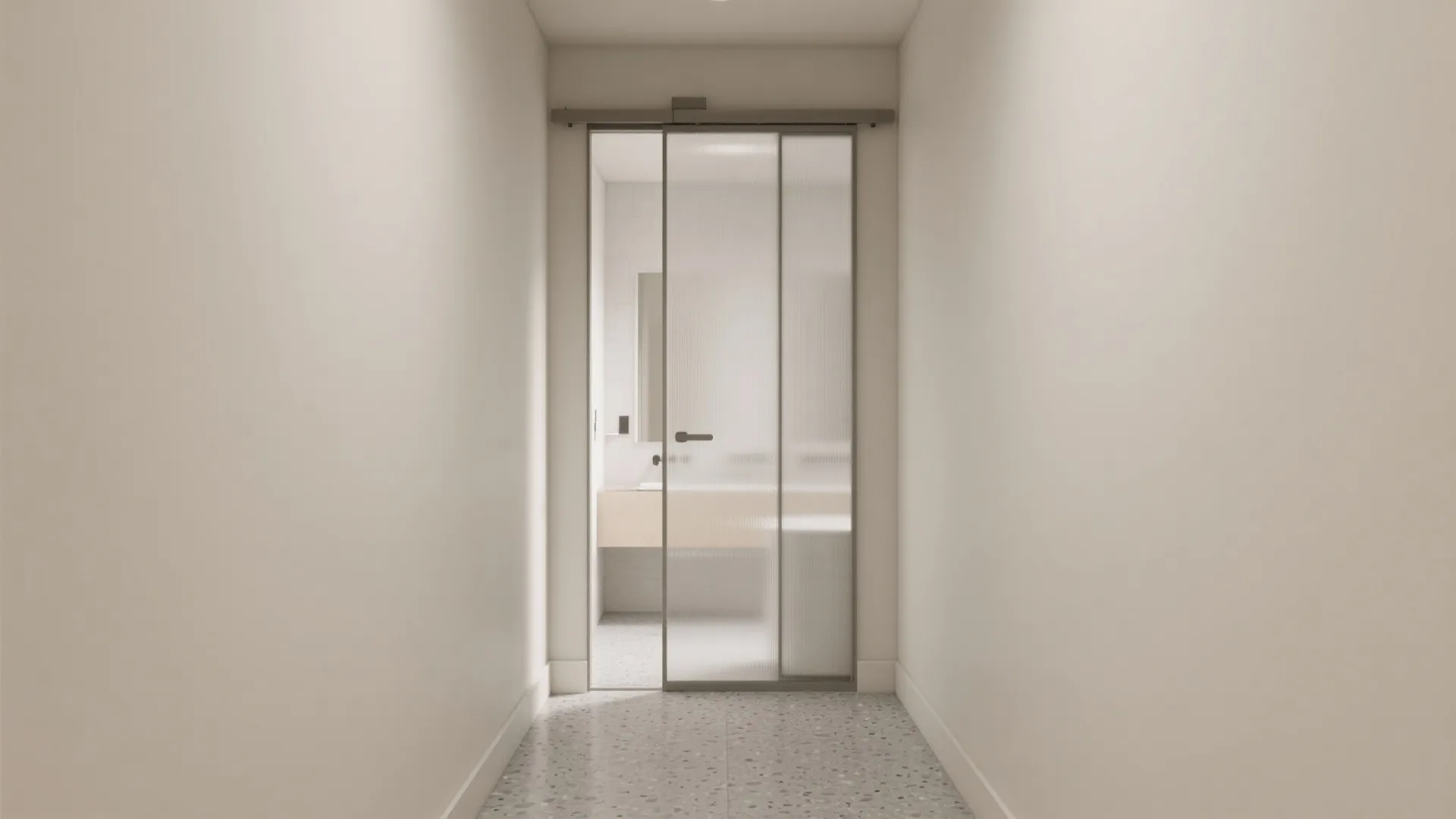 Frosted Glass Pocket Door