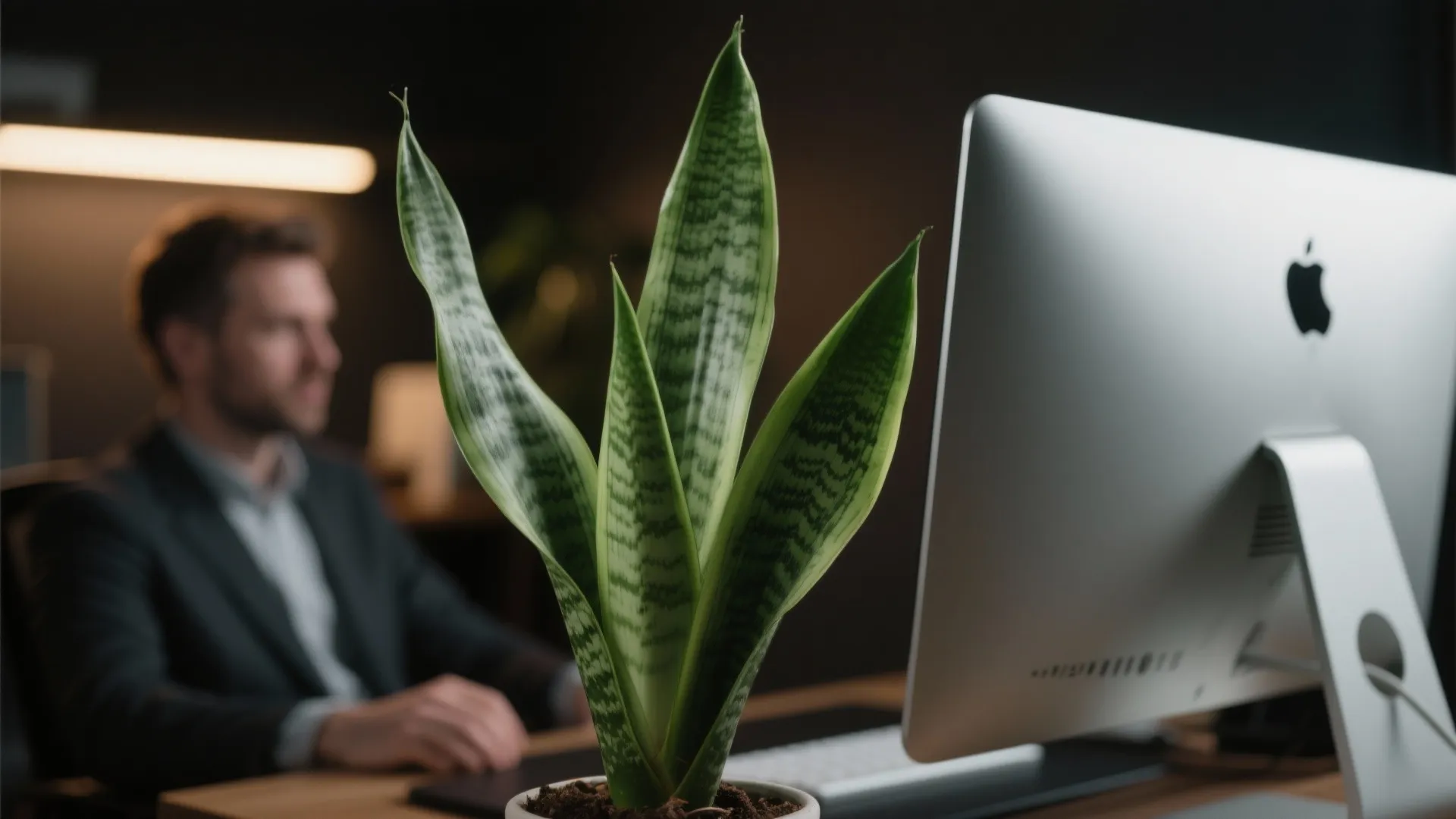 6. Add Greenery for Freshness