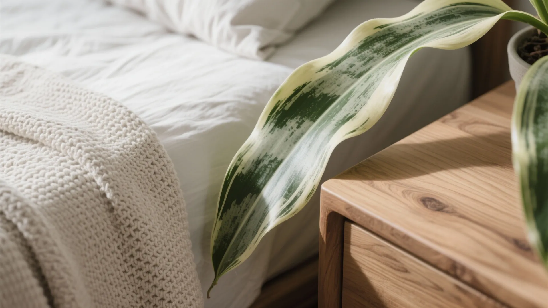 Biophilic Touches and Cleaner Air