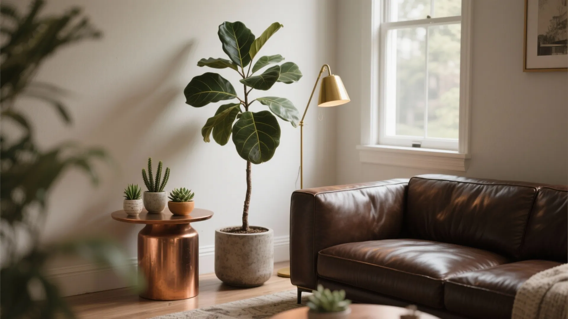 Living room corner with fiddle-leaf fig, brass lamp and copper side table beside a dark leather couch