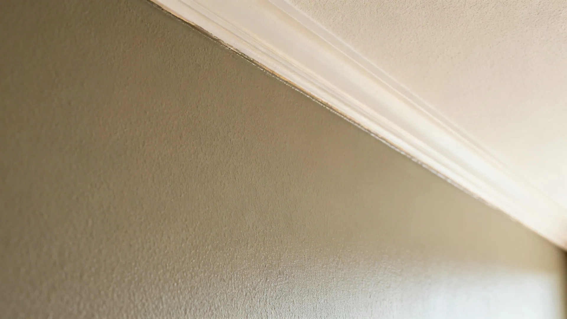 Macro of greige wall and lighter ceiling showing matte and satin sheen contrast.