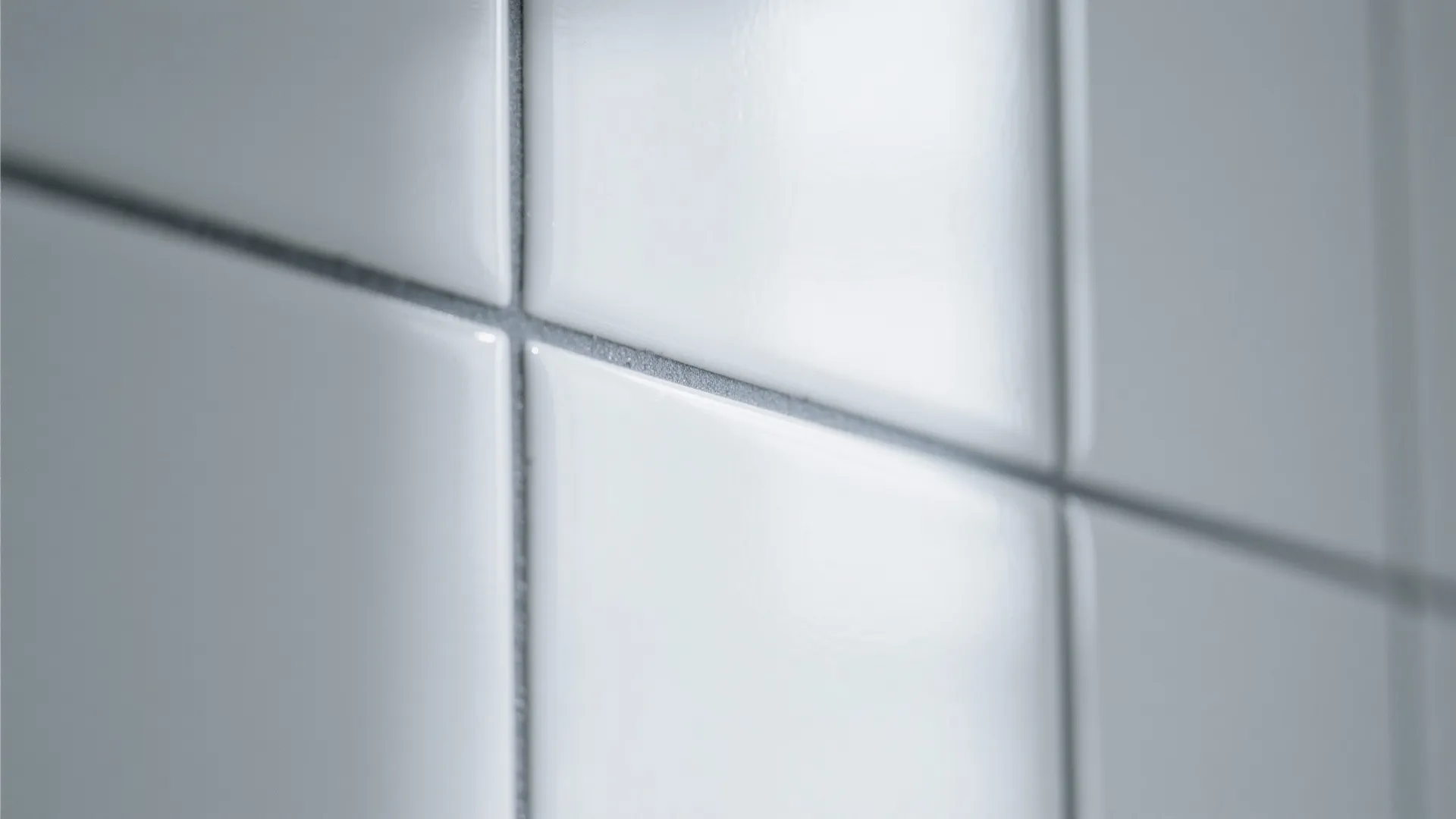 Glossy White with Painted Grout Lines