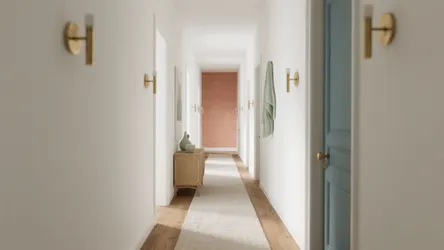 Wall Colour for Hall Room: 5 Designer-Tested Ideas