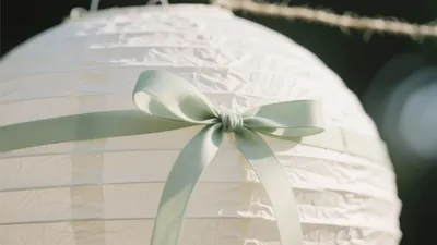Soft Mint Ribbon Paper Lantern Decor