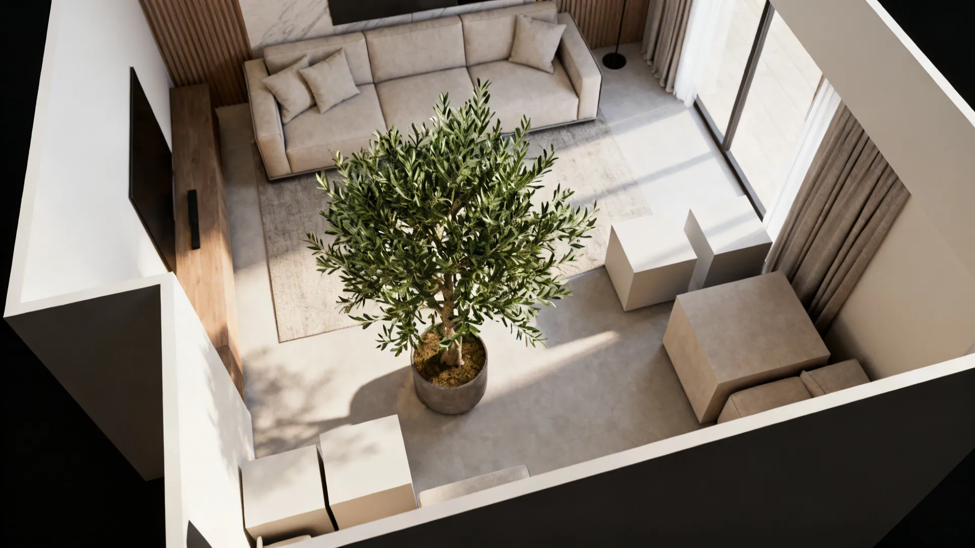 Interior design drawing showing a room layout with sofa rug and central indoor green tree