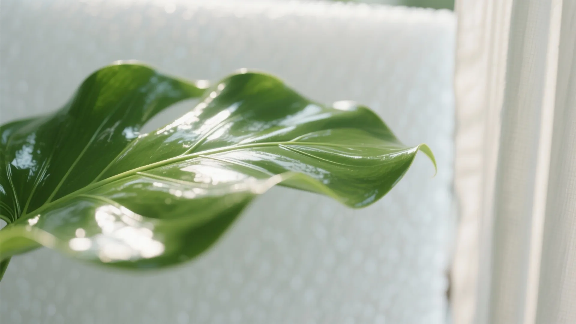 2) Light-first photography: bounce, diffuse, and glow