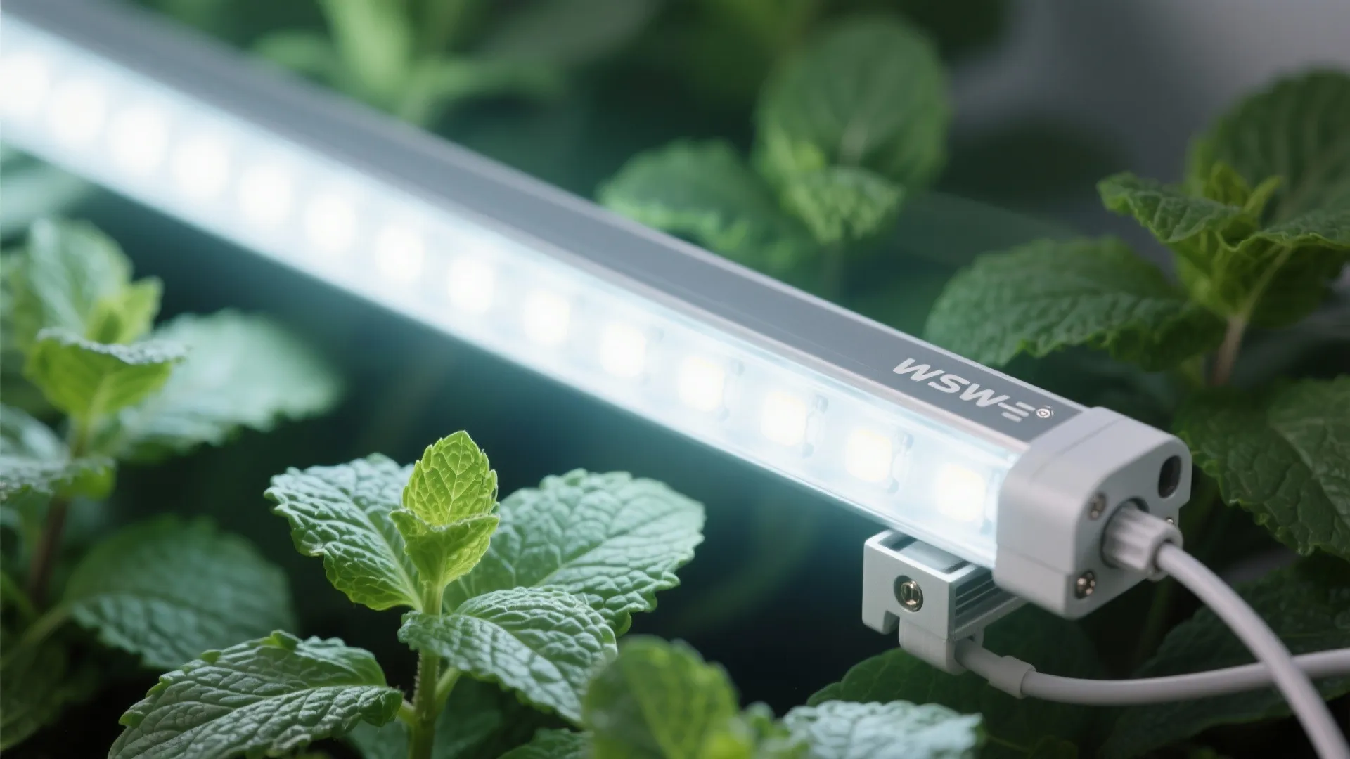 Light Strategy: Reflectors, Grow Lights, and Plant Pairing