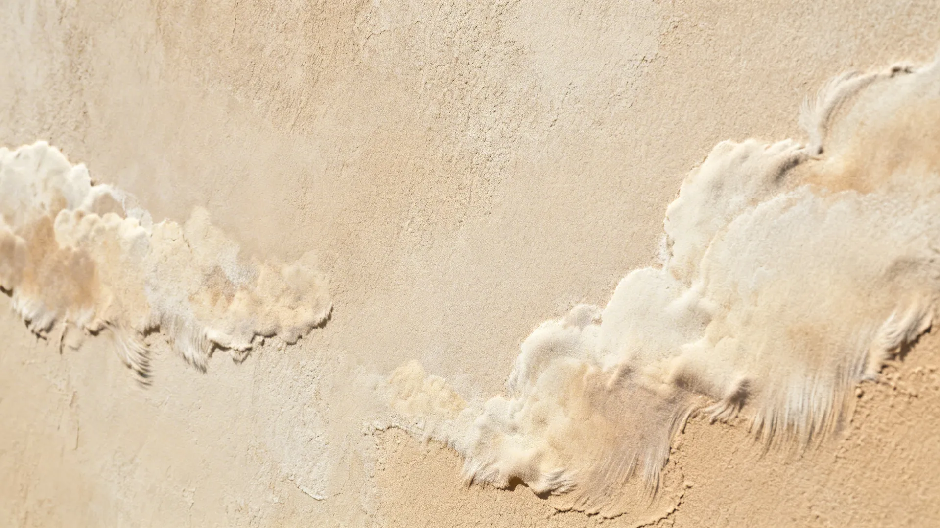 Macro view of velvety limewash showing mineral, cloud-like texture in warm clay tones.