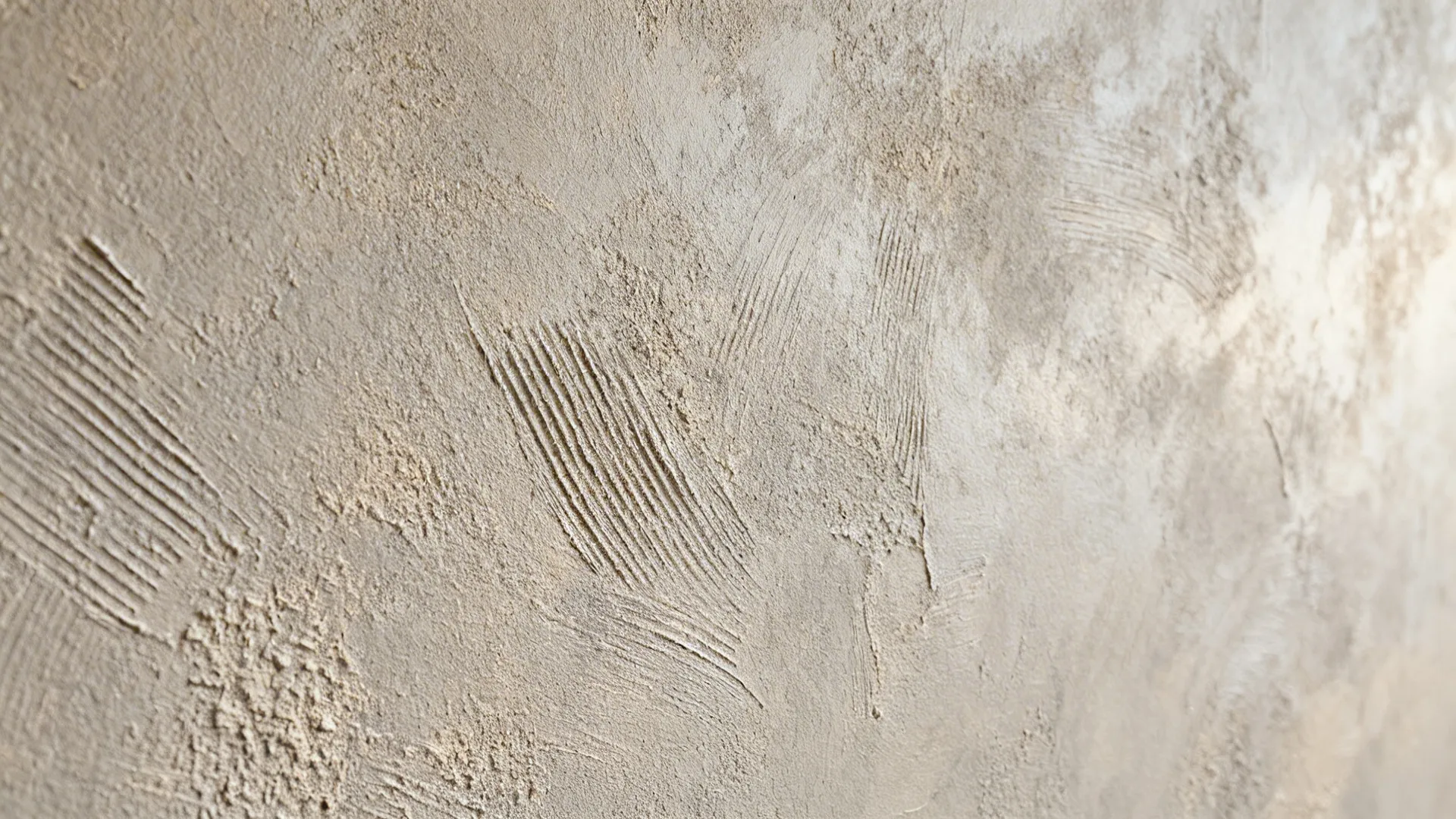 Macro view of limewash and microplaster texture lit by soft daylight.