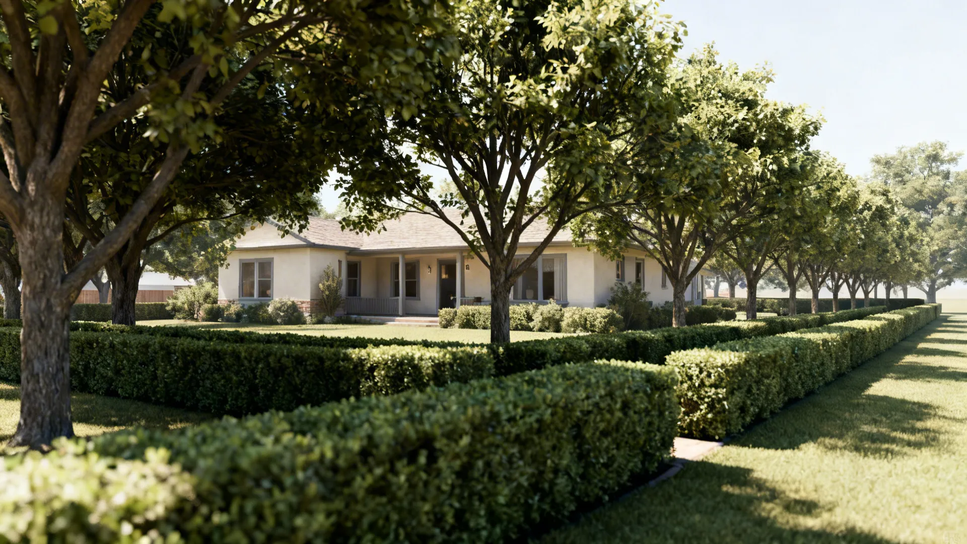 Staggered low hedges and medium trees providing privacy while keeping views open to a ranch home.