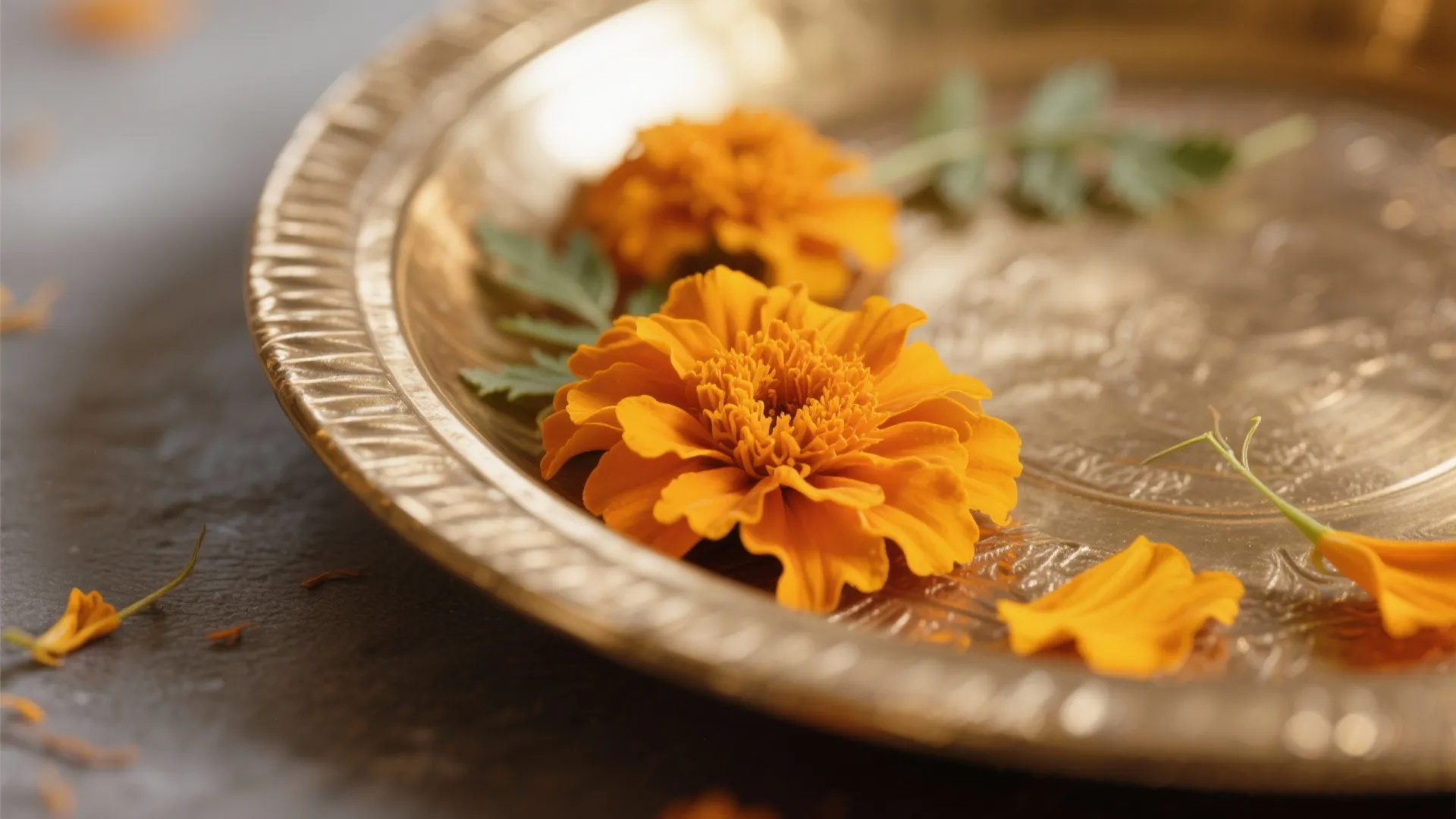 Marigold Ring with Brass Base