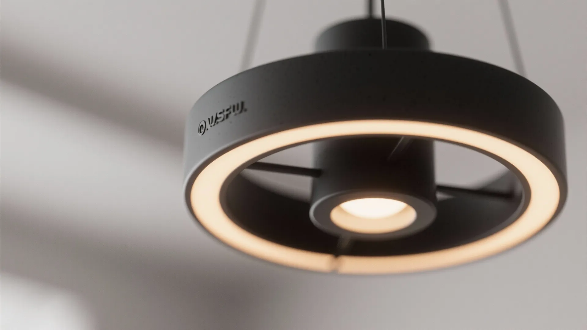 1. Minimalist matte-black ring chandelier