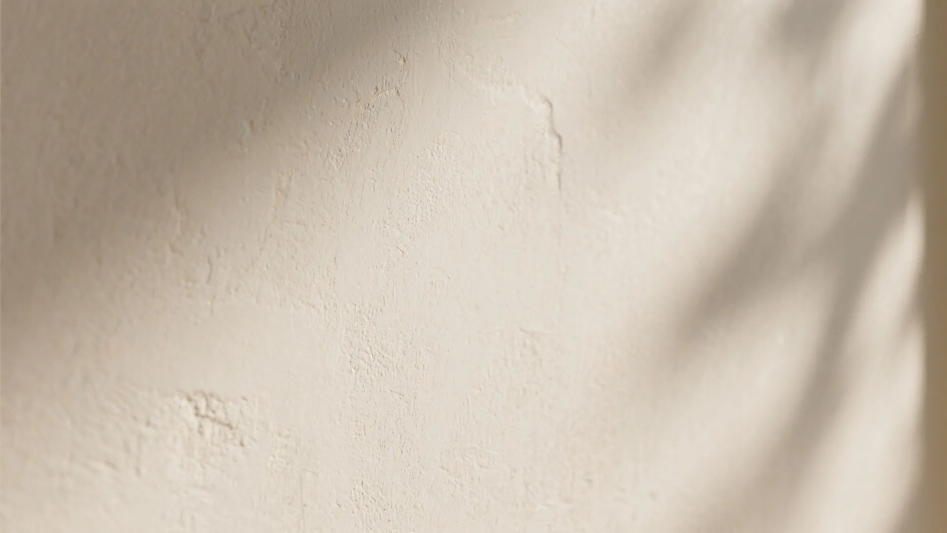 Close up view of a beige wall with a matte finish and soft sunlight leaf shadows