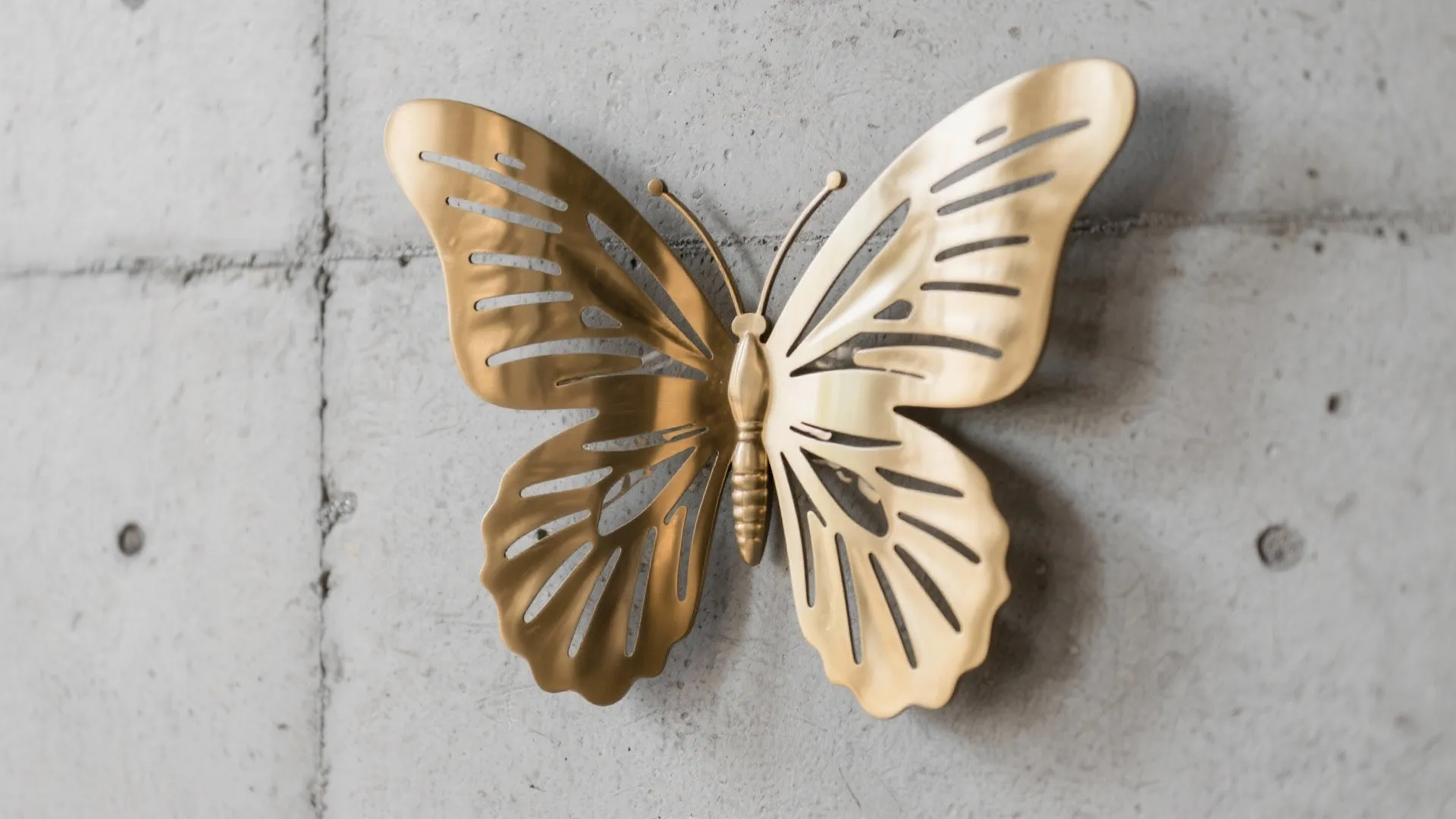 A decorative gold metal butterfly wall art piece mounted on a grey concrete textured wall