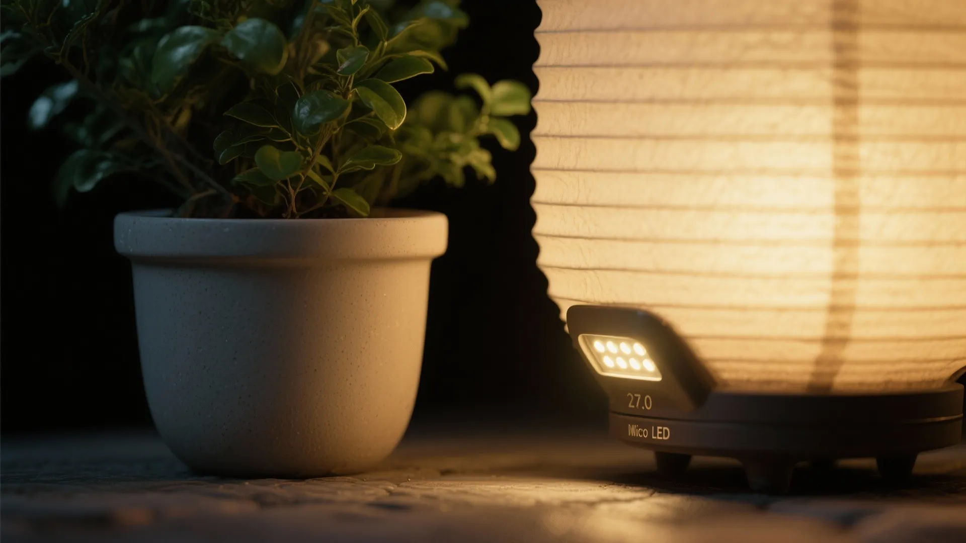Macro of warm micro-LED light grazing a matte planter and leaves at night.