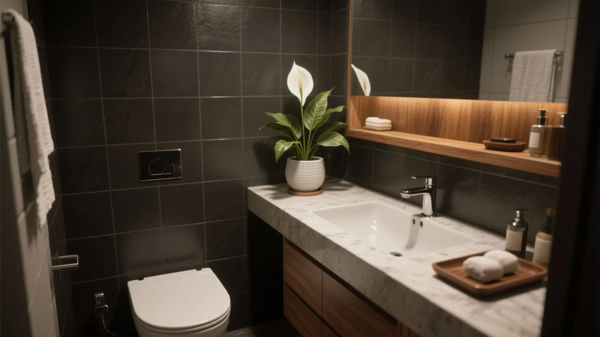 Mini Peace Lilies for Low Light