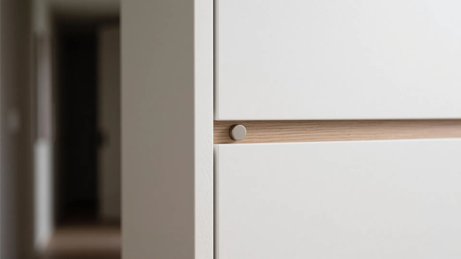 Minimalist Hallway Cupboard Storage