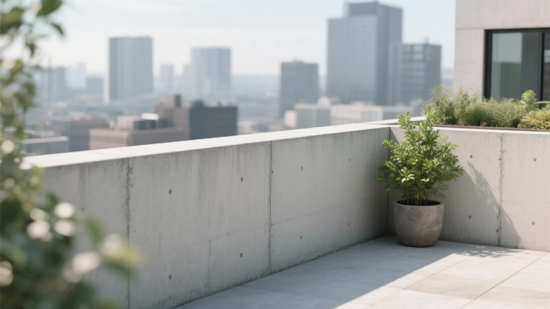 Minimalist concrete balcony wall with a small green plant in a pot and city background