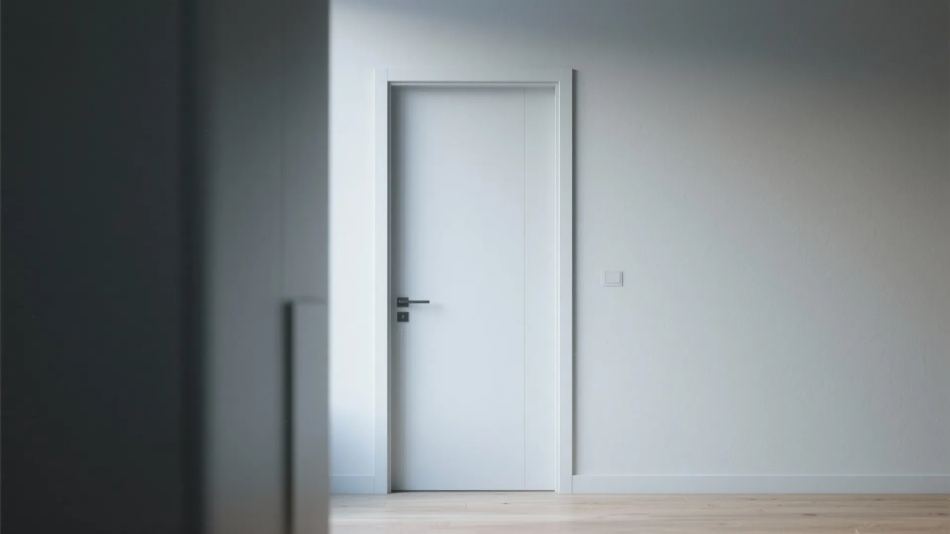 Idea 5: Narrow Frame Minimalist Door