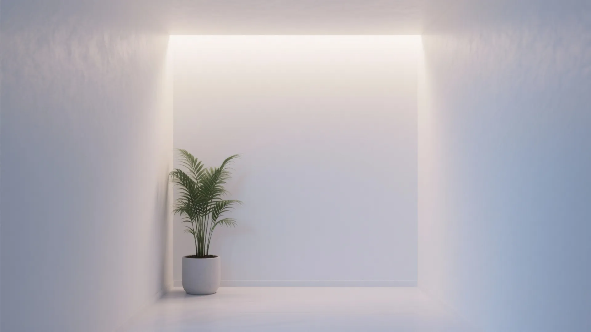 Minimalist white wall with plant and soft lighting
