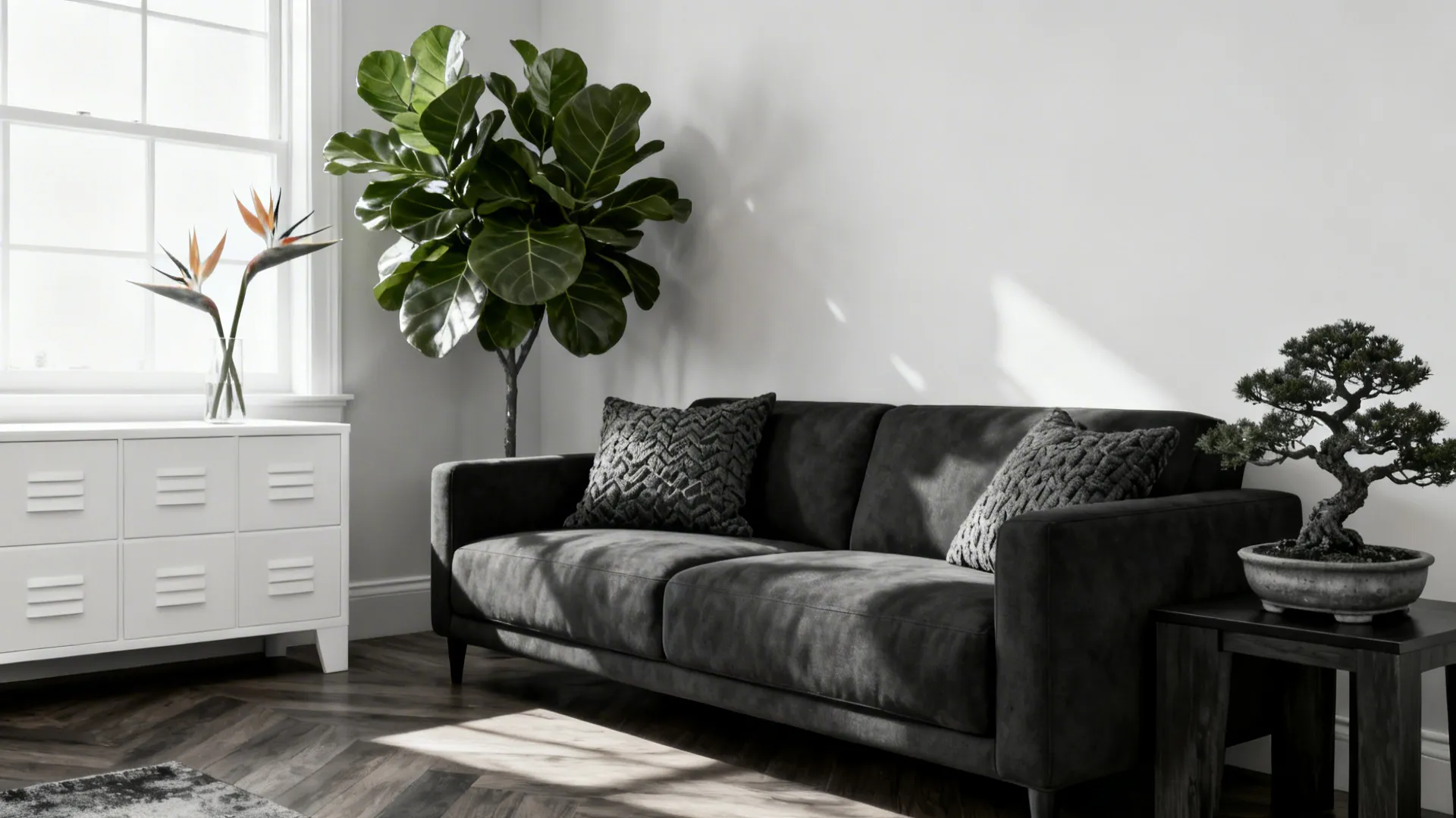 Charcoal sofa with textured plants like fiddle-leaf fig and bonsai adding visual interest