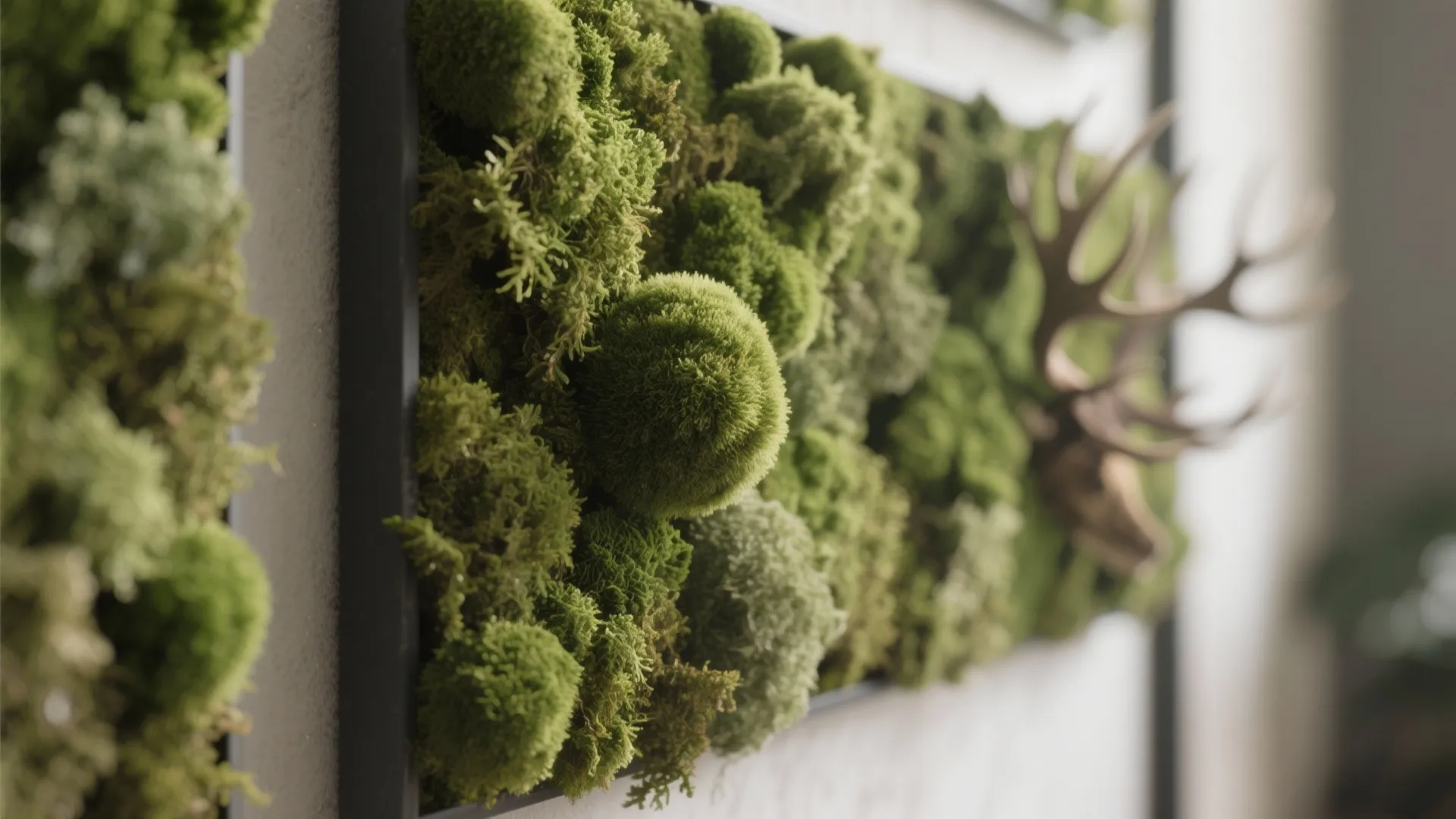 Minimalist moss wall panels for calm acoustics