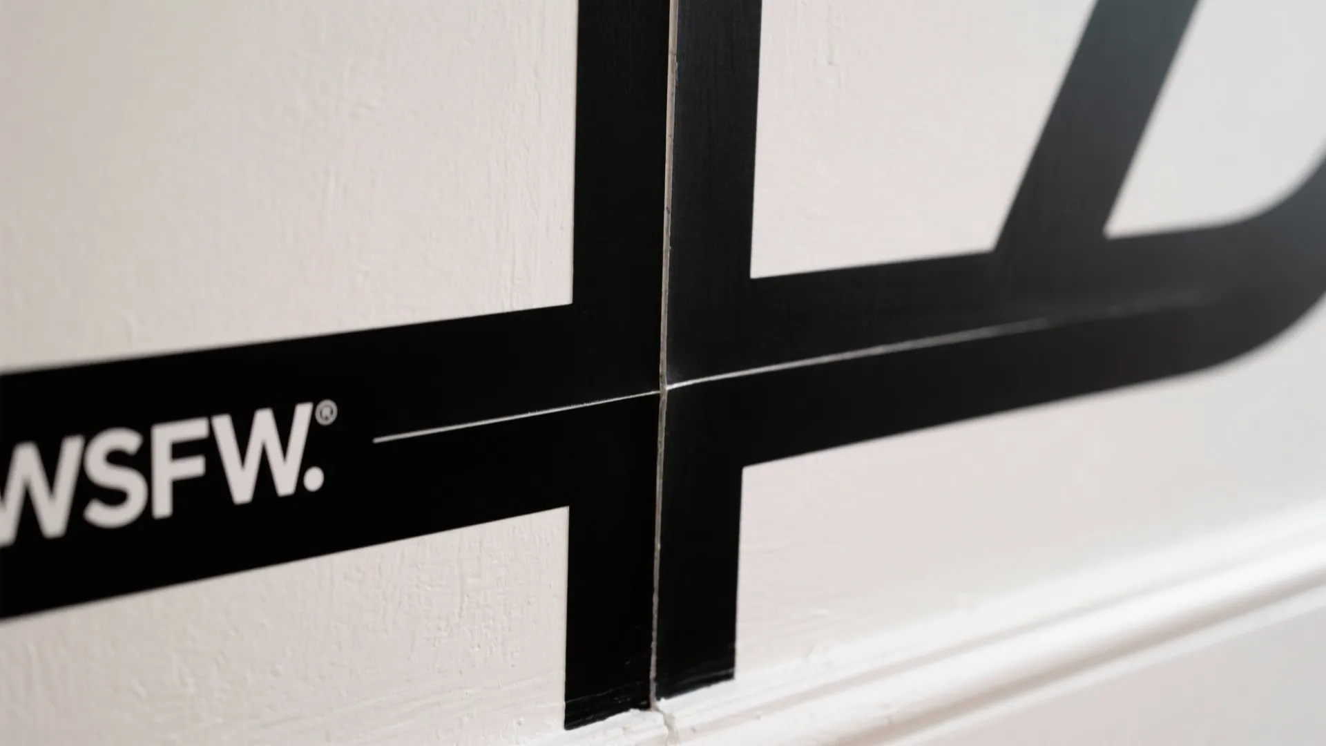 Graphic Monochrome Murals