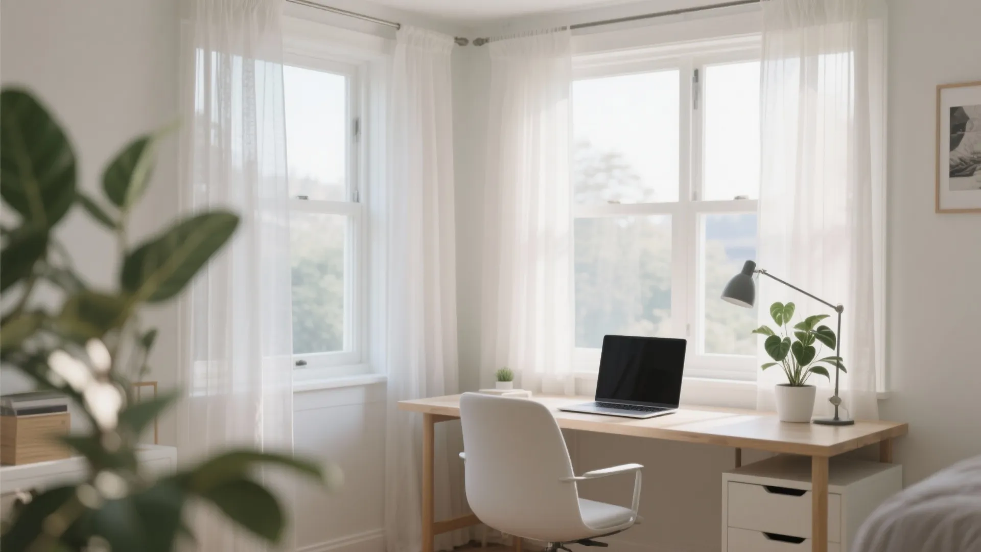 4. Natural Light Maximisation