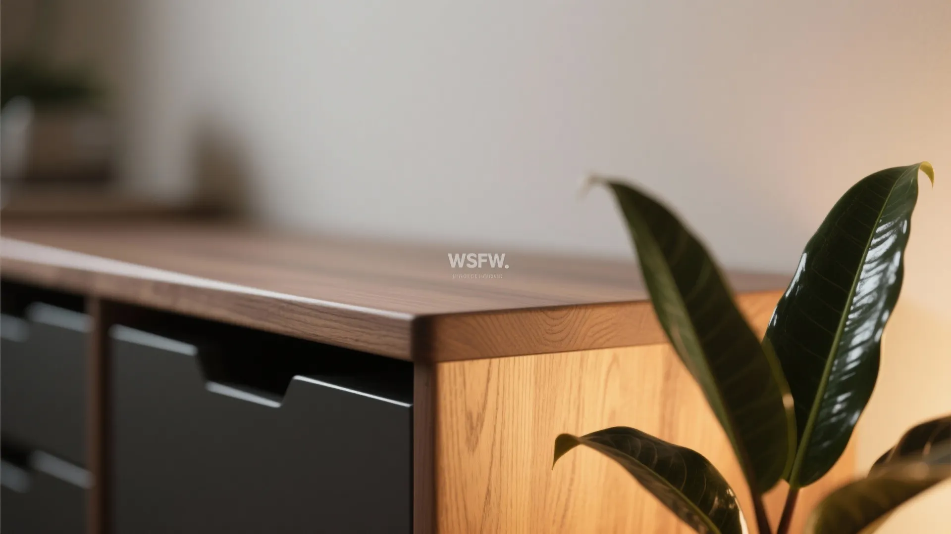 Biophilic Touches: Wood, Plants, and Warm Light