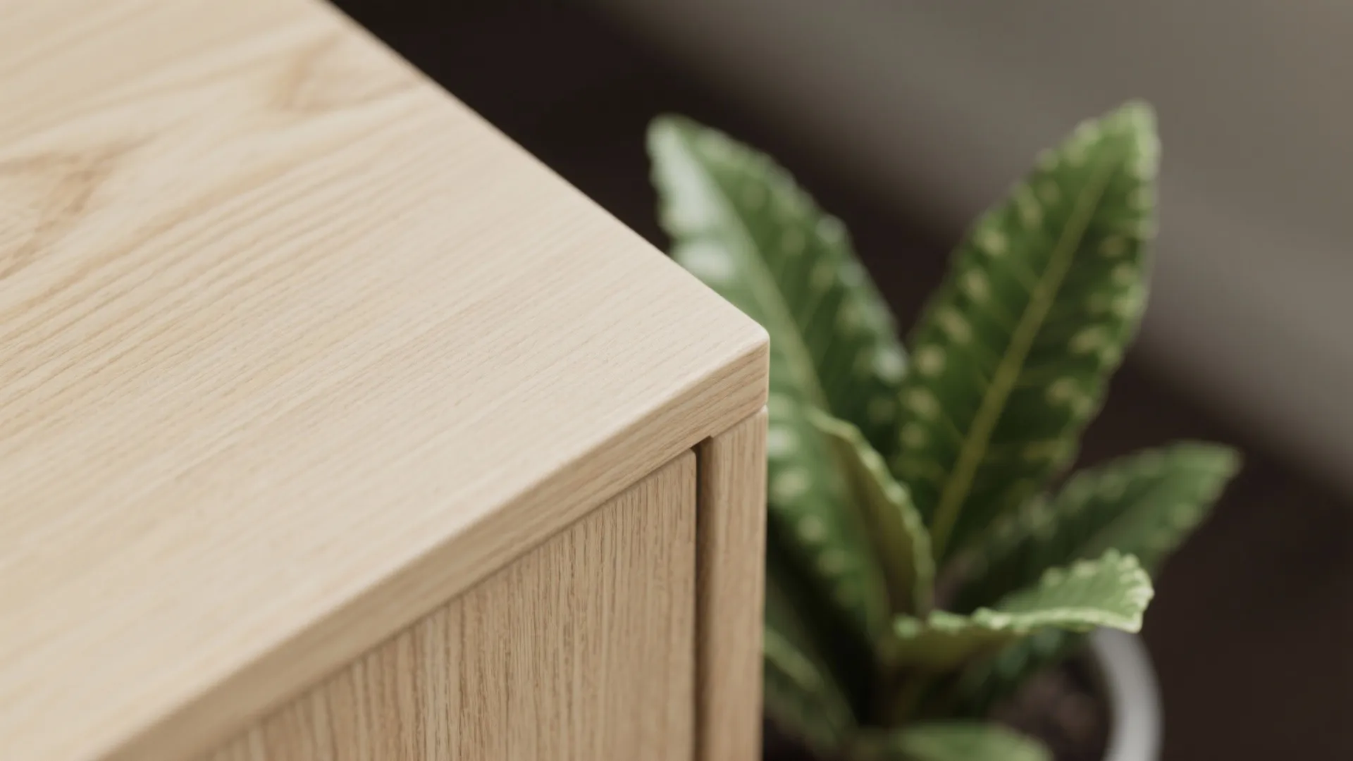 Biophilic Touches: Wood, Plants, and Daylight Tuning