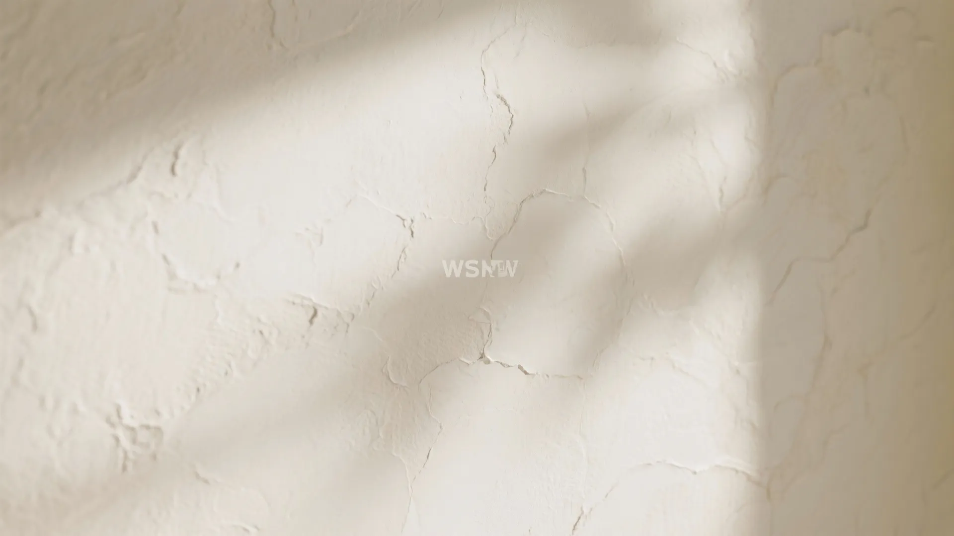 Off-White with Texture (Limewash or Subtle Plaster)
